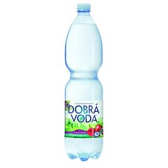 DOBRÁ VODA LESNÍ PLODY 1,5L