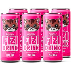 FIZE DRINK LIMONÁDA S MALINA 250ML