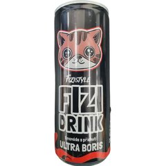 FIZI DRINK PŘÍCHUTÍ ULTRA BORIS 250ML