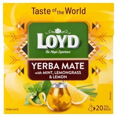 LOYD YERBA MATE 34G