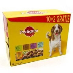 PEDIGREE ADULT WD 12X100G