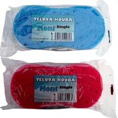 TĚLOVÁ HOUBA