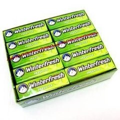 WINTERFRESH FRESH ICE DRAŽÉ ŽVÝKAČKY 14G